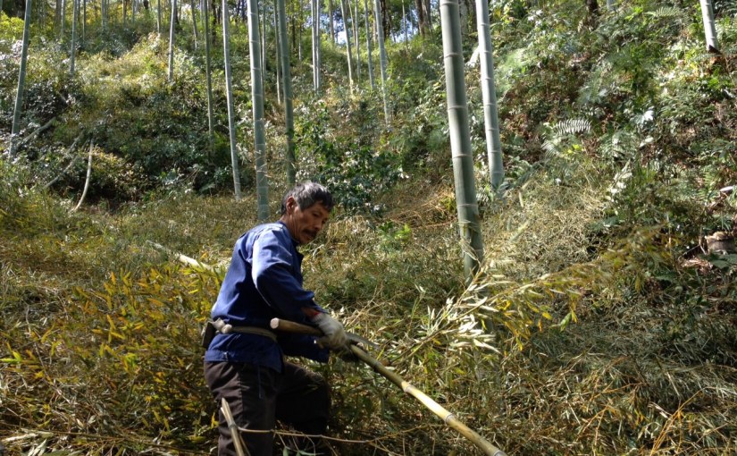 Where is it coming from&nbsp;?